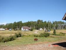 Burns Lake BC Farm for sale by Charlie McClary RE/MAX Bulkley Valley