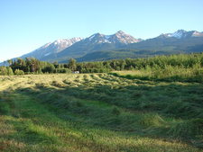 Smithers BC Ranch for sale by Charlie McClary RE/MAX Bulkley Valley 