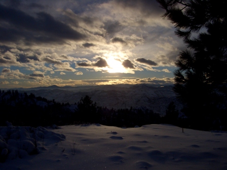 Winter Sunset Blacktail.jpg