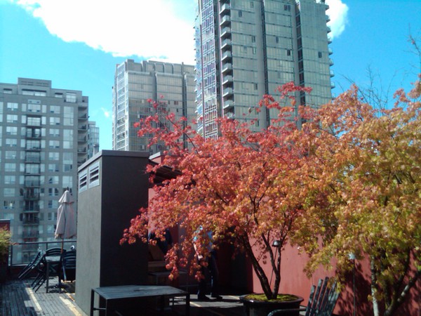 twitpic208.jpg