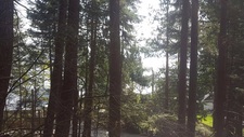 Sechelt District Other for sale: 286 sq.ft. (Listed 2017-04-19)