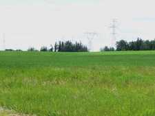 Gleniffer Lake Alberta Land For Sale: Excellent Investment/ Development Property, Superb 84.010 Acres Located Within The Gleniffer Reservoir Shorelands Area Structure Plan, 1/2 Mile To The North Dyke Boat Launch. 
