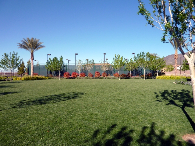 ClubAtMadeira grass-cts.jpg
