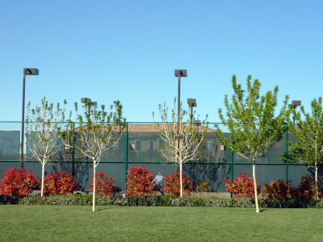 ClubAtMadeira tennis ct.jpg