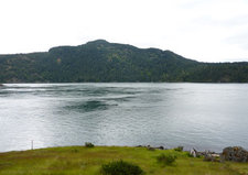 8235 Stoney Hill Road (Lot 2) Sansum Narrows / North Cowichan 5.06 Acre Lot FOR SALE by Jay McInnes & Peter Nash