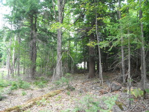 Magnetawan Lot for Sale close to Lake Cecebe