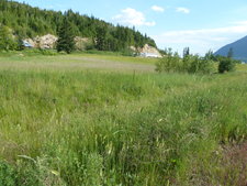 Tappen Vacant Land for sale:    (Listed 2010-07-05)
