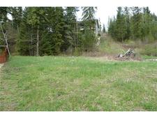 Shuswap Lake Estates Lot for sale: (Listed 2017-02-13)