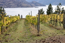 Peachland Single Family with Acreage/ Estate for sale:  2 Bedroom + Den 2,710 sq.ft. (Listed 2011-03-10)