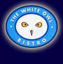 white owl 2.jpg