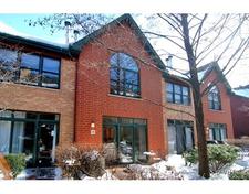 Lincoln Park Townhome for sale:  3 bedroom 2,200 sq.ft. (Listed 2011-12-20)