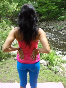 Back Extensor E