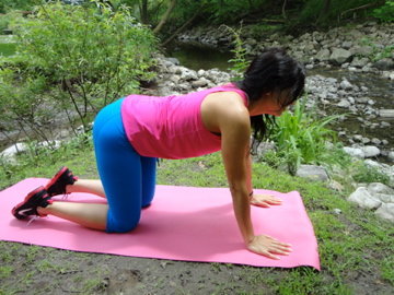 Pigeon Stretch A