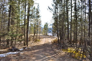 Williams Lake Land for sale:    (Listed 2012-03-08)
