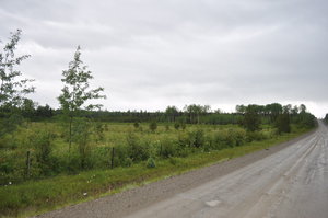 Williams Lake Land for sale:    (Listed 2011-05-16)