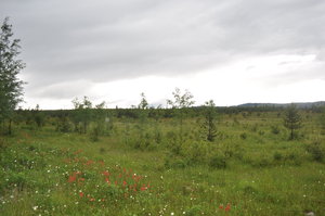Williams Lake Land for sale:    (Listed 2011-05-16)