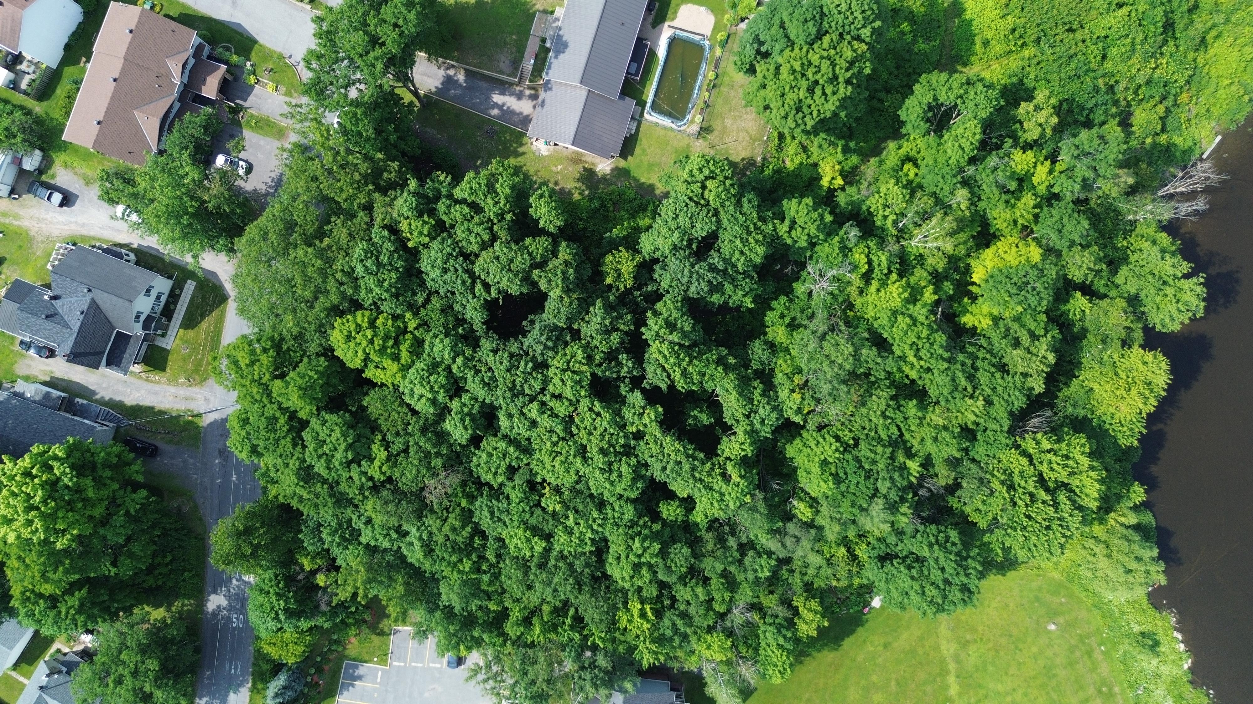 Clarence Rockland Land for sale:    (Listed 2025-04-07)