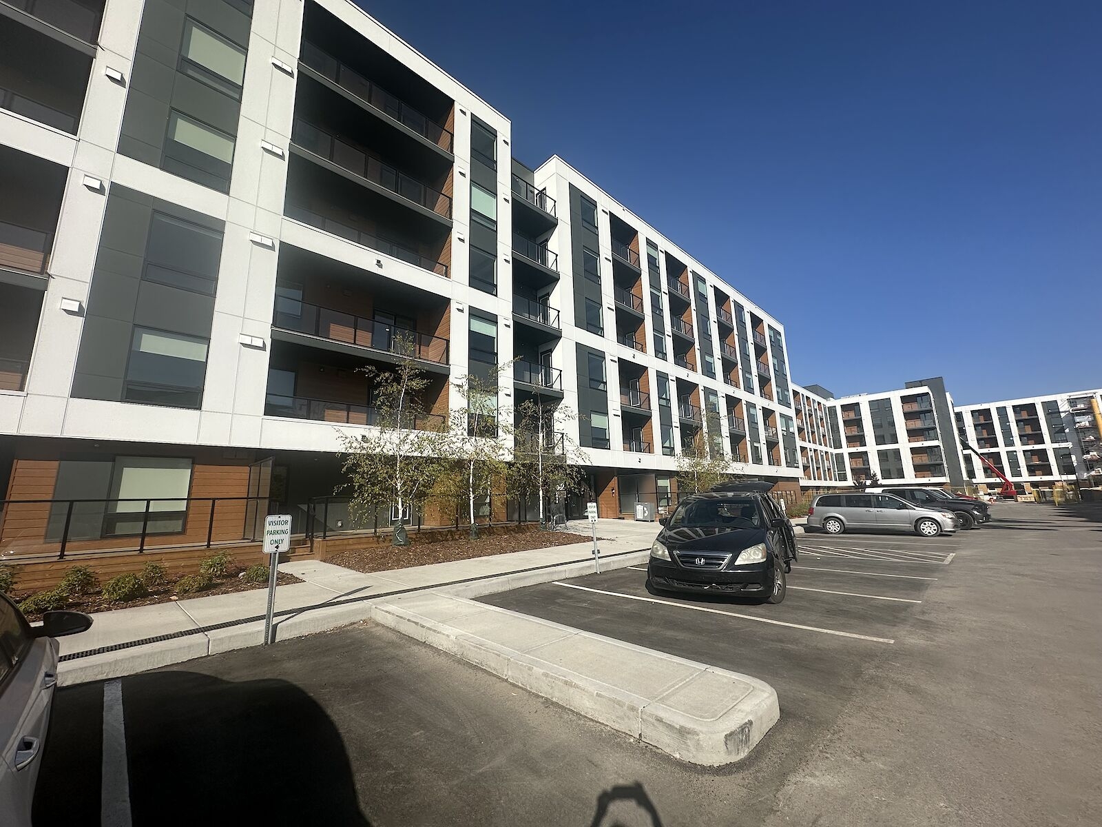 Belvedere Condo apartment for rent:  2 bedroom  Stainless Steel Appliances, Granite Countertop, Laminate Floors, Plush Carpet  (Listed 2025-09-18)