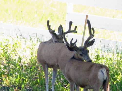 None House for sale: ac 2 bedroom 958 sq.ft. (Listed 2012-06-06)