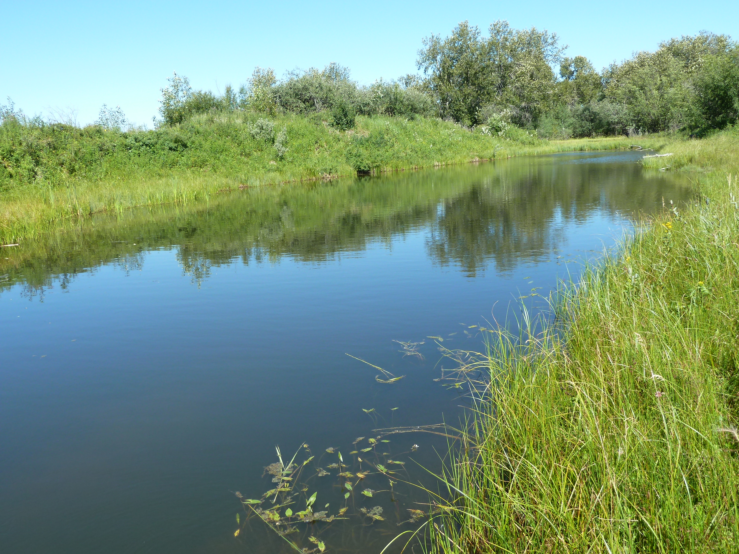 c Land for sale: (Listed 2013-04-24)