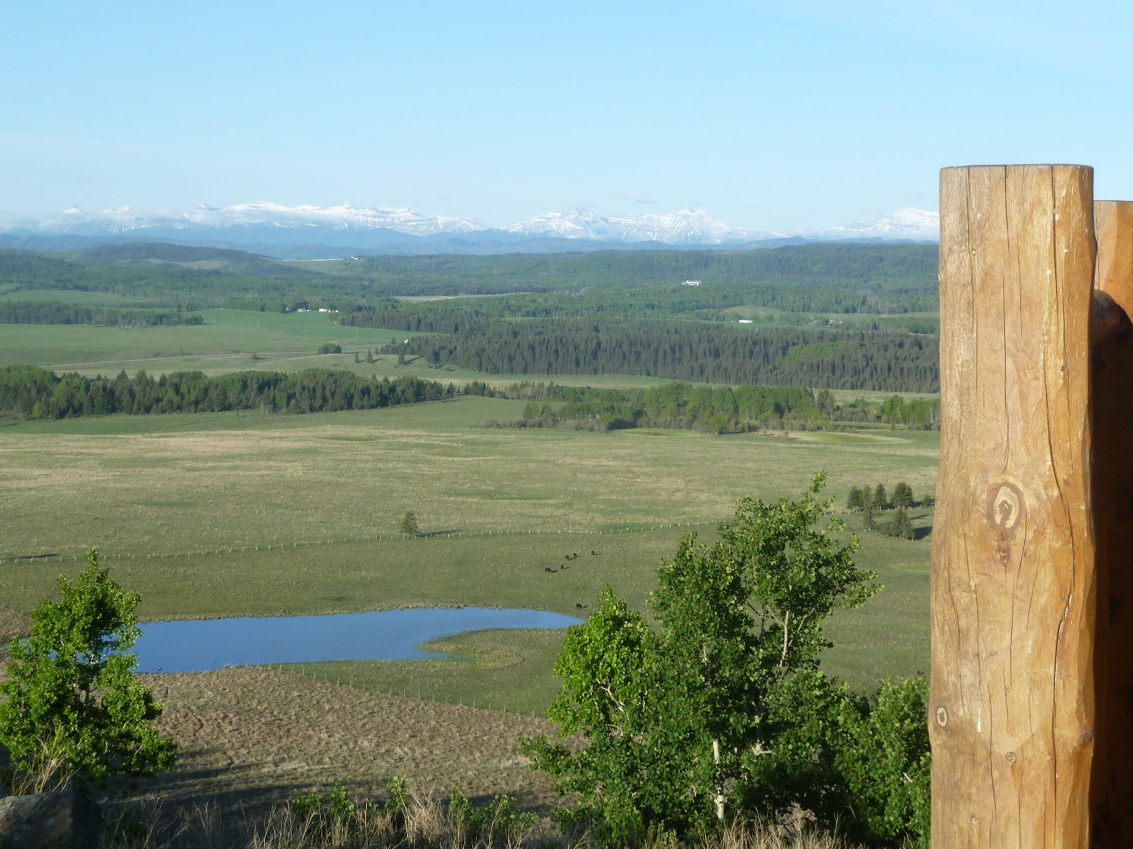 Priddis Add New Value ..RANCH. for sale:  4 bedroom 3,598 sq.ft. (Listed 2013-06-06)