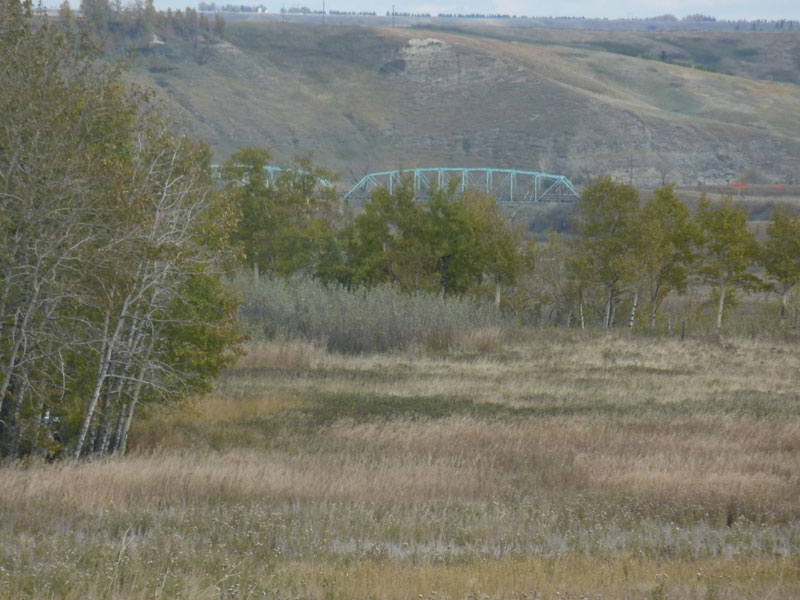 Dewinton Land for sale:    (Listed 2013-10-05)