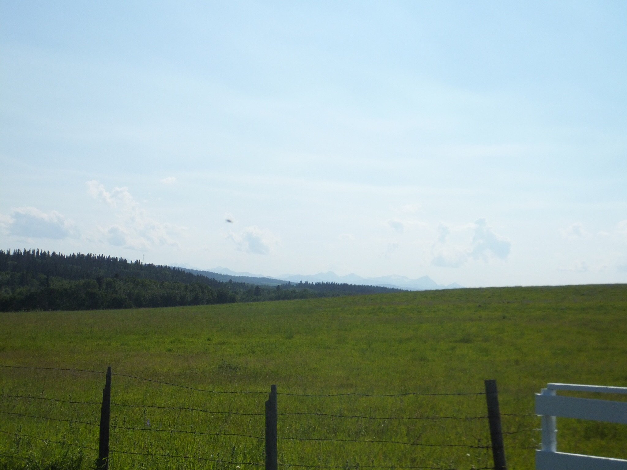 Red Deer Lake Land for sale: (Listed 2013-09-11)