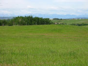 near Priddis Land for sale: (Listed 2011-06-13)