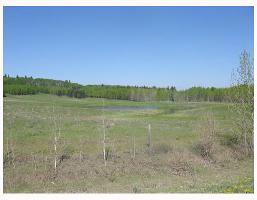 of Millarville House for sale: Studio (Listed 2011-06-13)