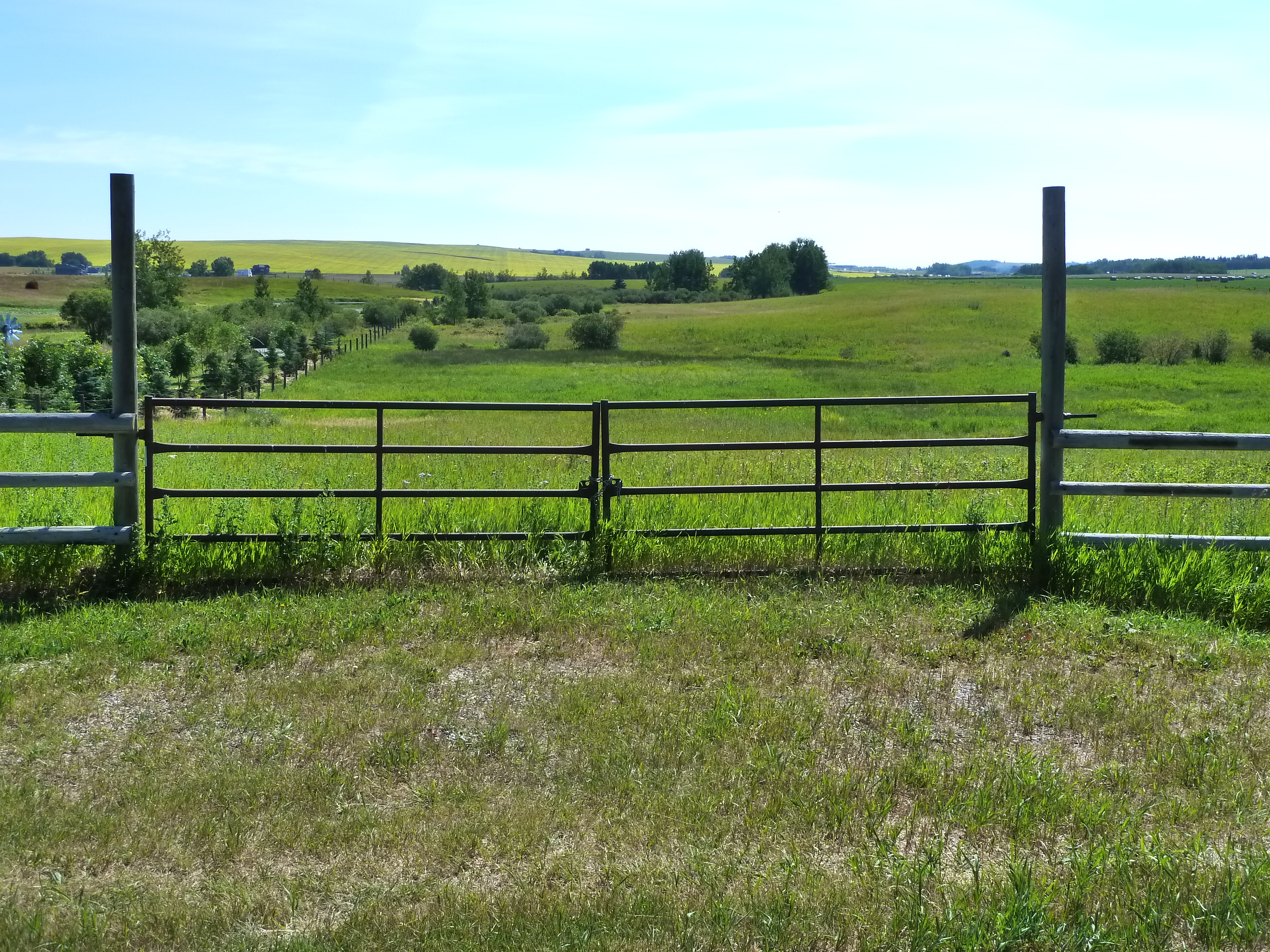 Red Deer Lake ACREAGE for sale: (Listed 2017-07-22)