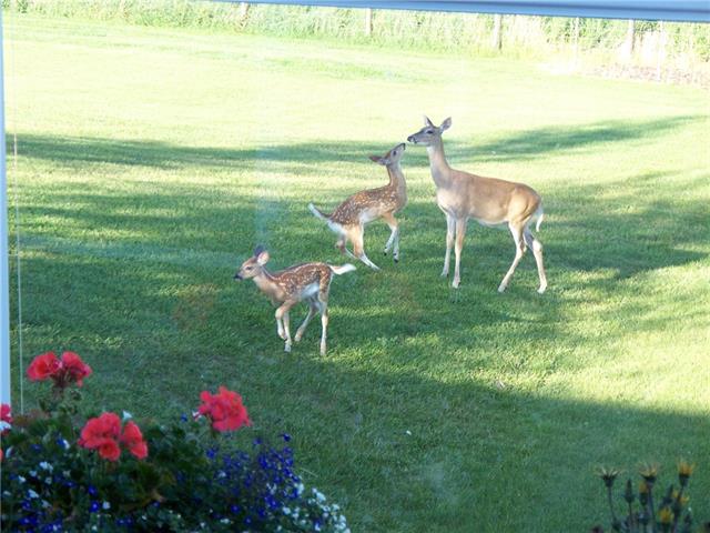 PRIDDIS House for sale: 4 bedroom 1,554 sq.ft. (Listed 2018-04-28)