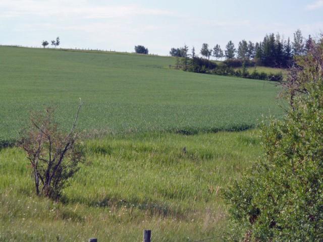 DEWINTON WEST Land for sale: (Listed 2020-03-31)