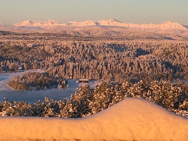 Priddis Greens ACREAGE for sale: (Listed 2020-06-14)