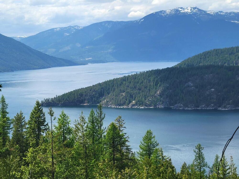 Gray Creek Vacant Land for sale (Listed 20210607)