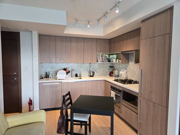Vancouver Apartment for rent:  1 bedroom 480 sq.ft. (Listed 2025-08-01)