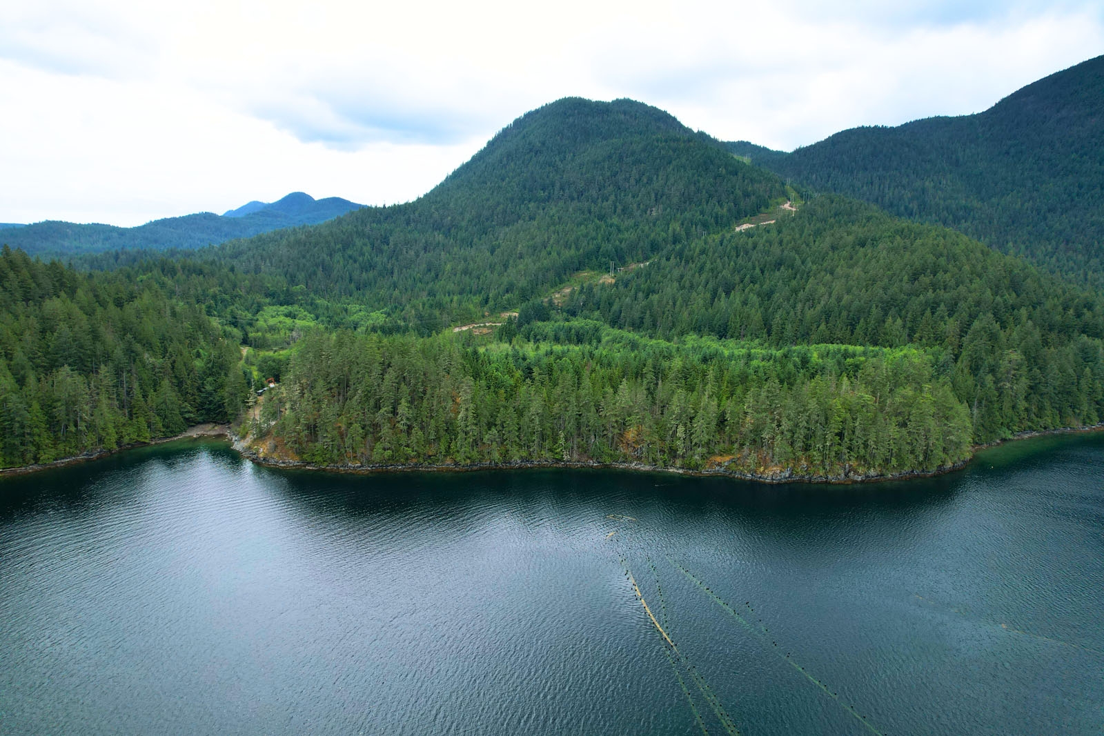 Vanguard Bay Oceanfront Acreage for sale:    (Listed 2025-07-21)