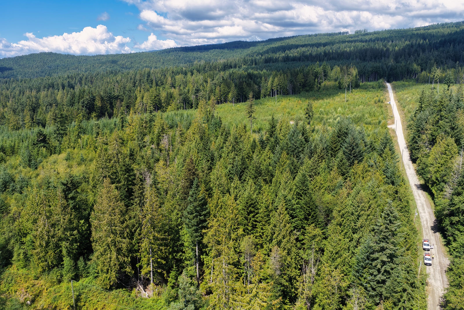 Roberts Creek Private Acreage for sale:    (Listed 2025-09-20)