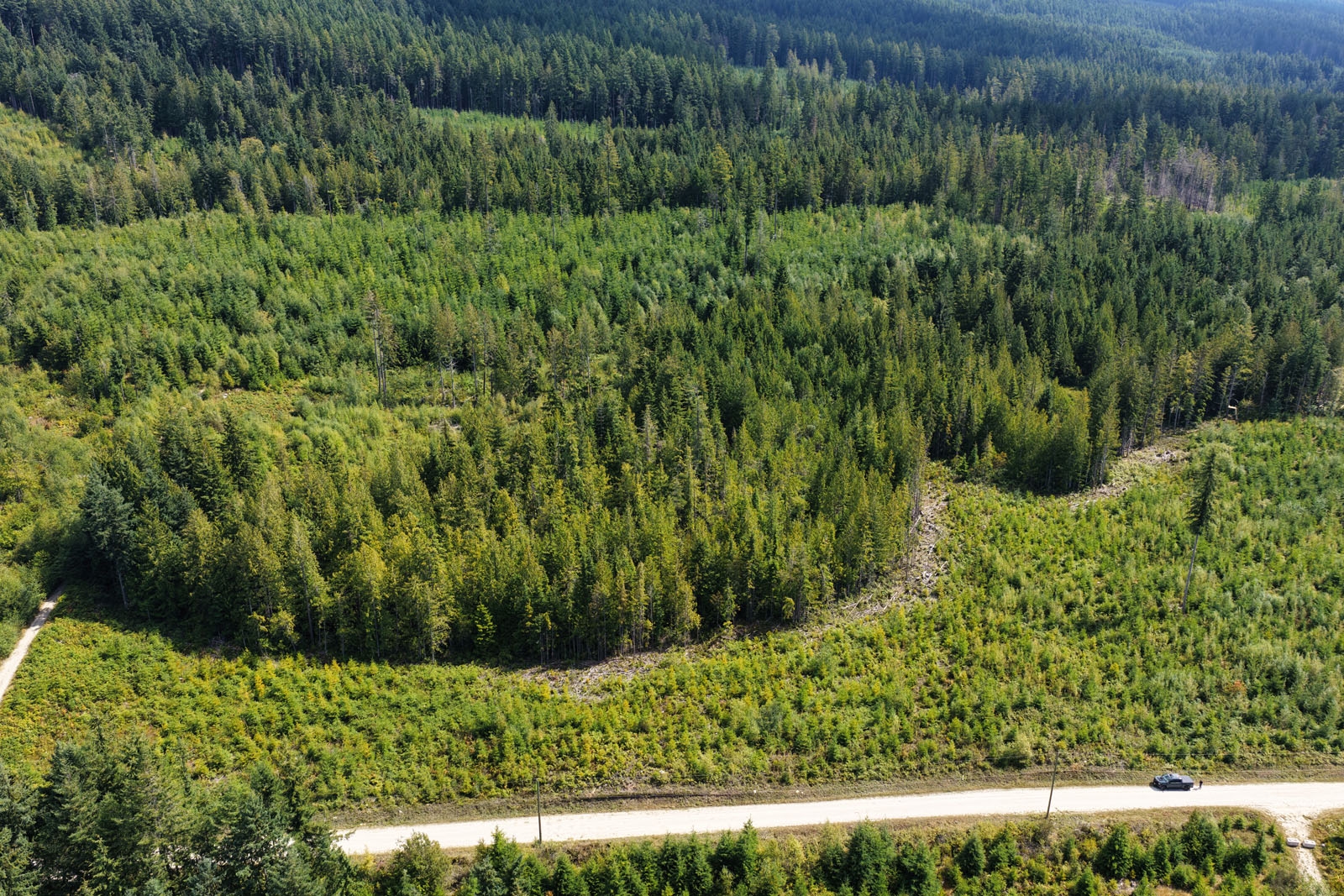 Roberts Creek Private Acreage for sale:    (Listed 2025-09-20)