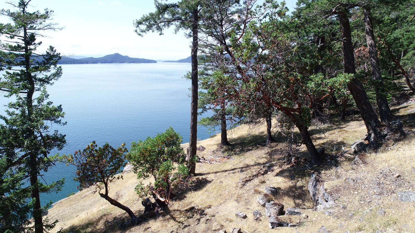 Saturna Island Oceanfront Acreage & Cabin for sale (Listed 20190725)