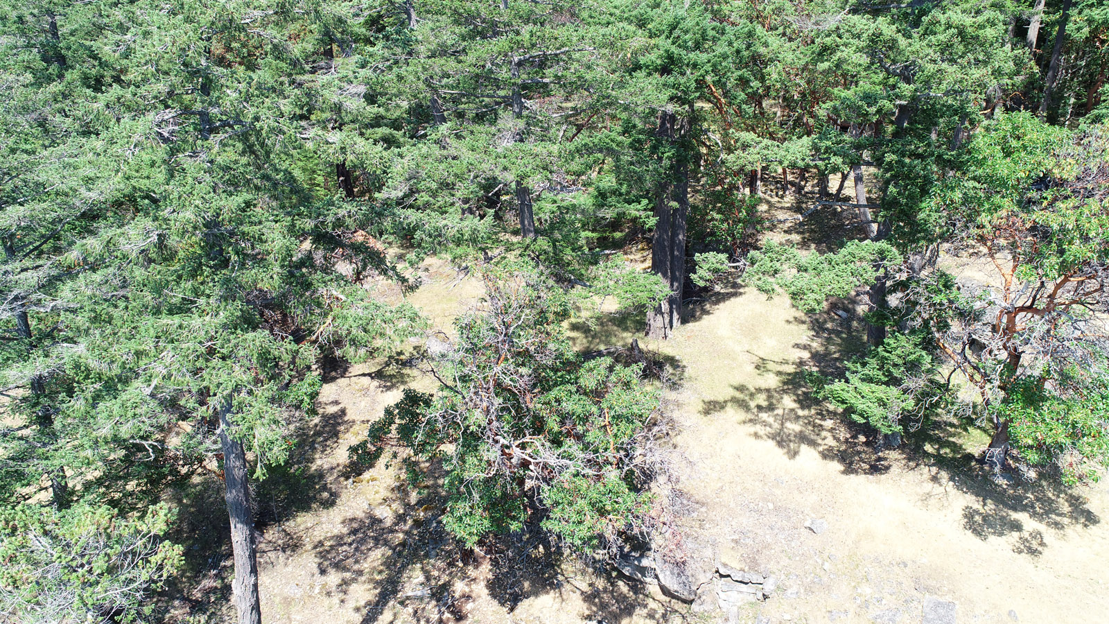 Saturna Island Oceanfront Acreage & Cabin for sale (Listed 20190725)