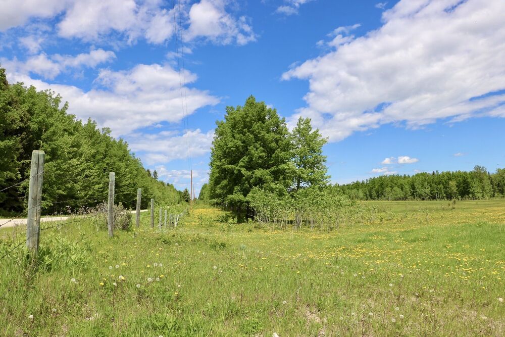 Agricultural Use, Mountain View County, Land for sale (Listed 20210325)