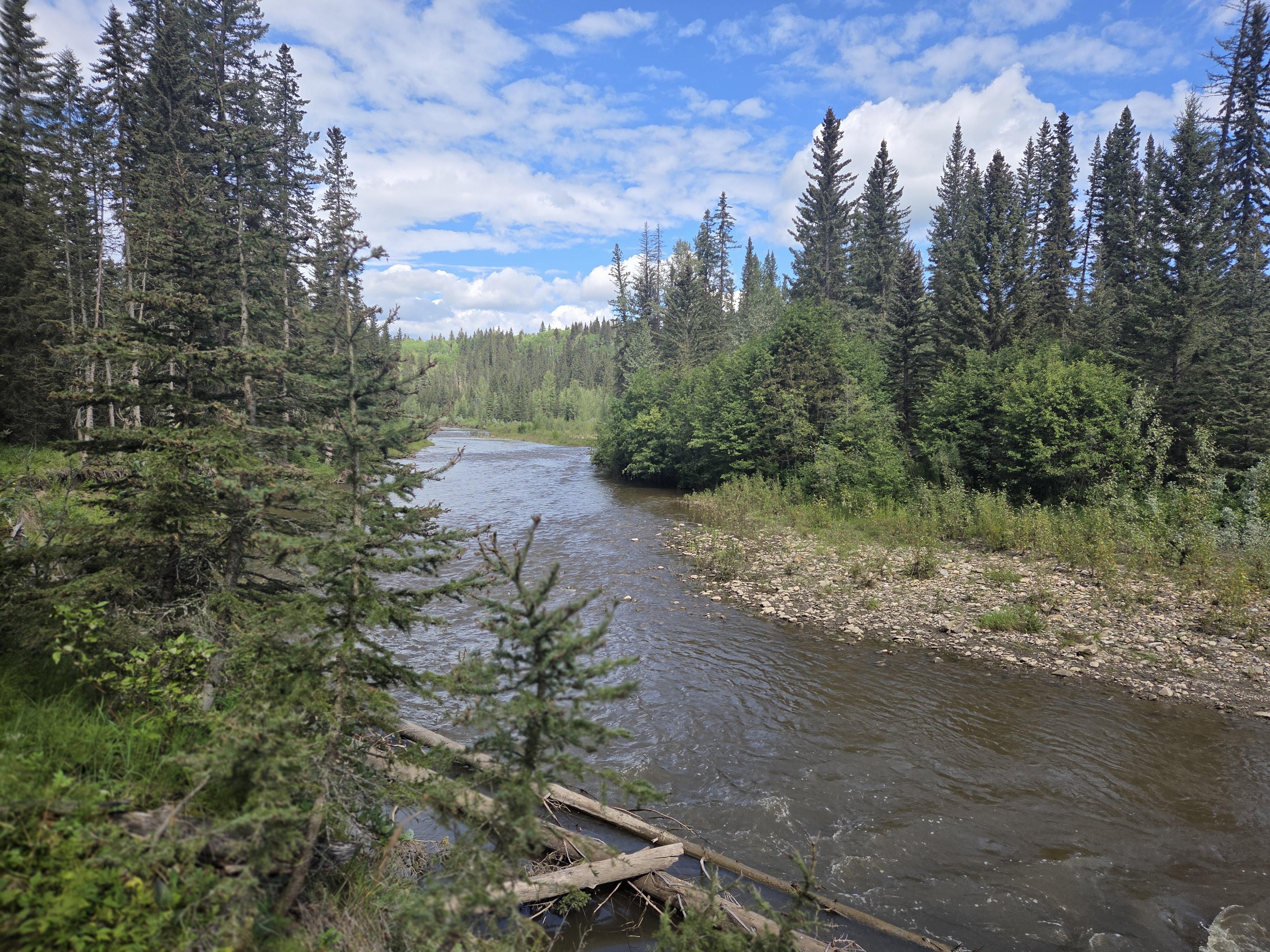 403, 29542 Range Rd 52