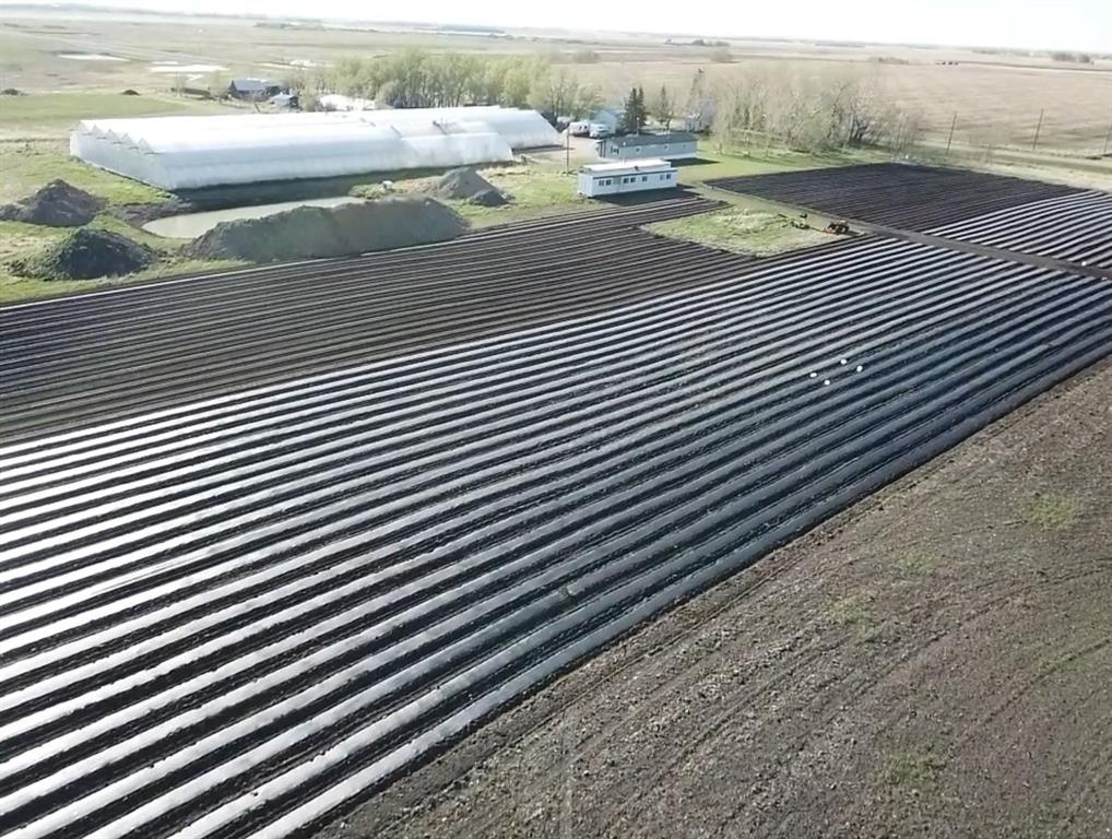 NONE Agriculture for sale:  3 bedroom 1,520 sq.ft. (Listed 2021-12-12)