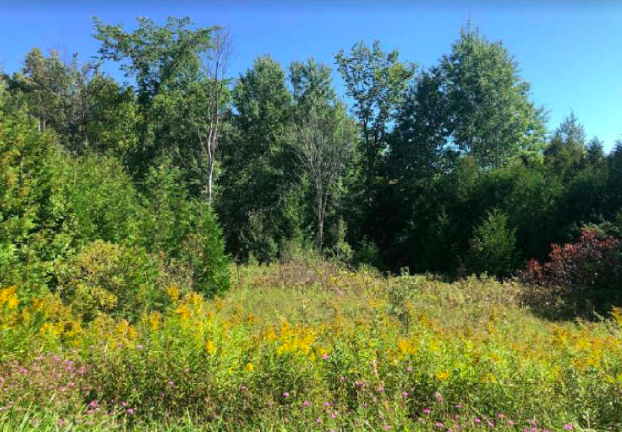 West Grey Vacant Land for sale: Studio (Listed 2025-11-26)