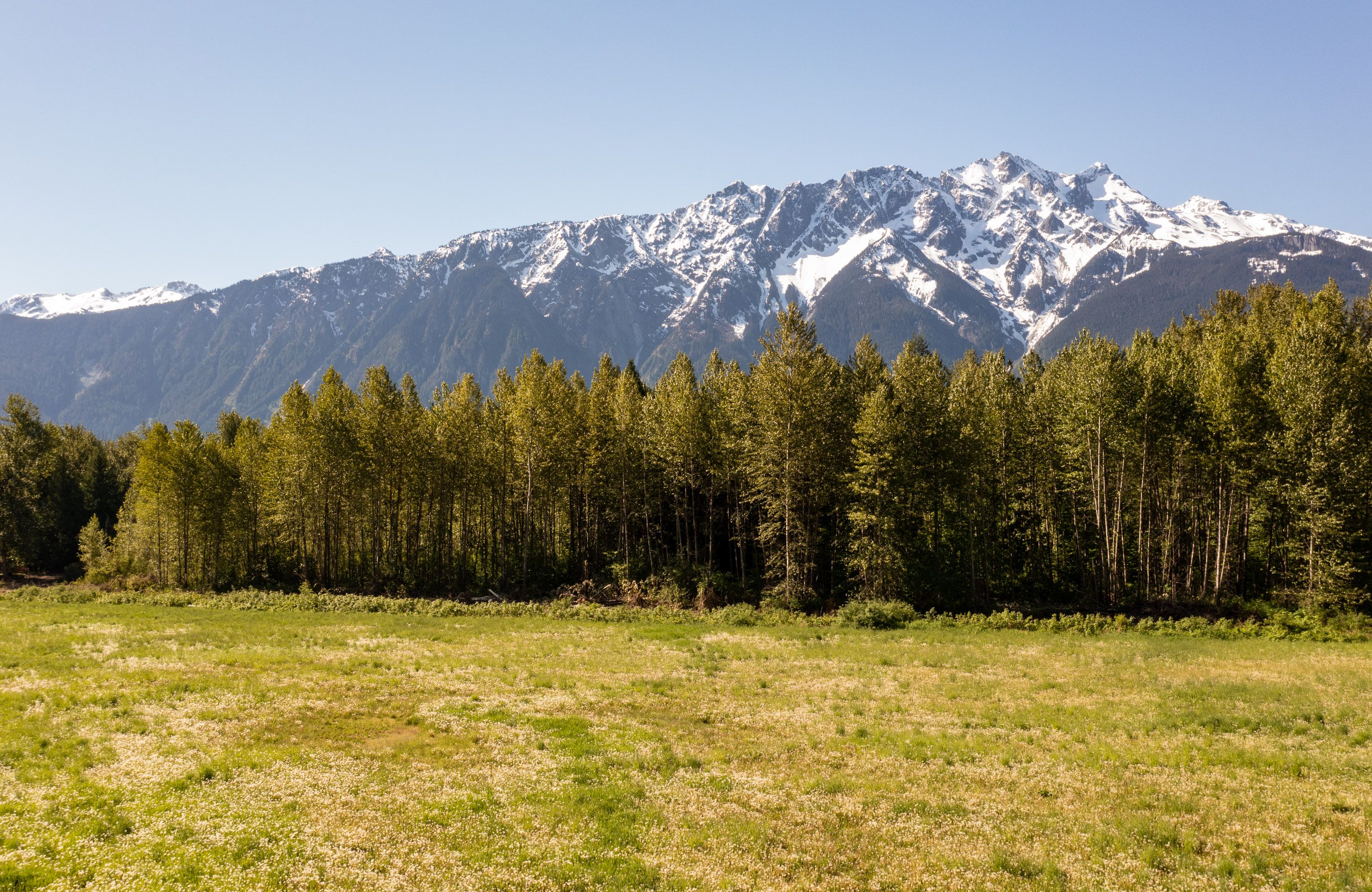 Lot 1 PEMBERTON FARM ROAD