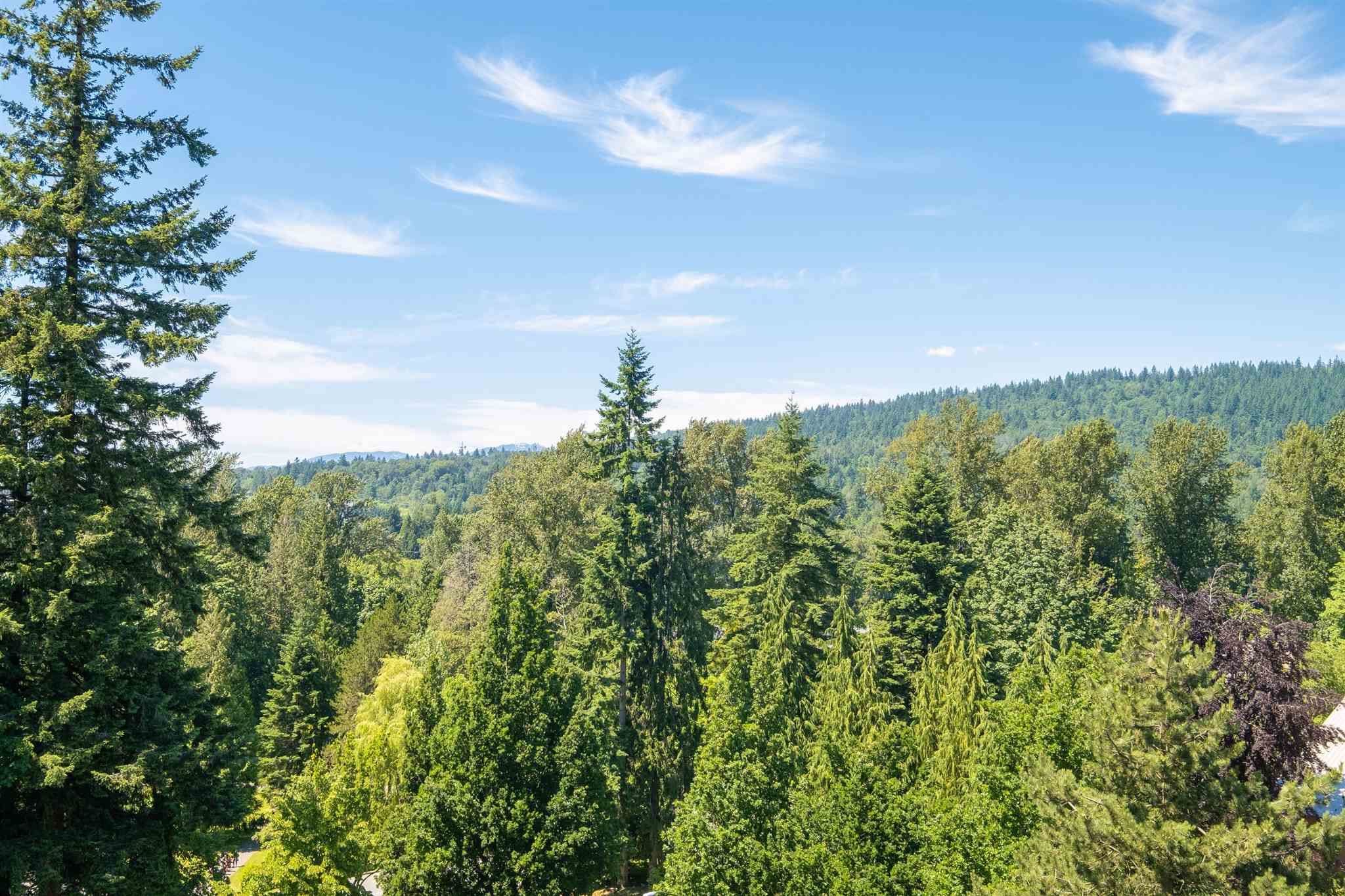 902 9595 ERICKSON DRIVE