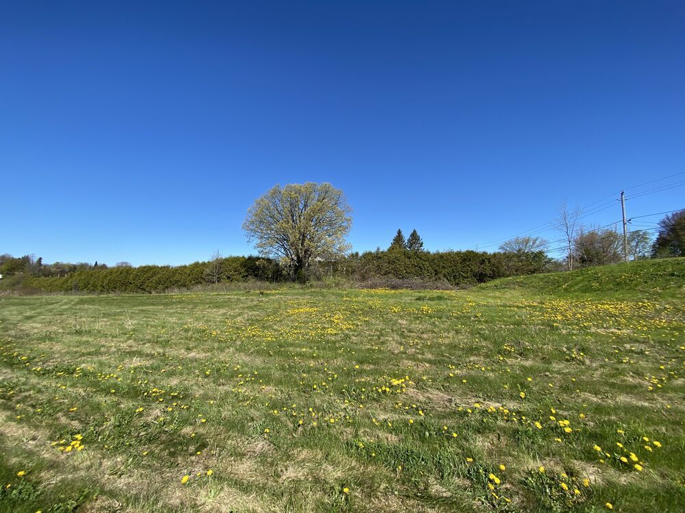 Manotick Waterfront Land for sale Studio (Listed 20210512)