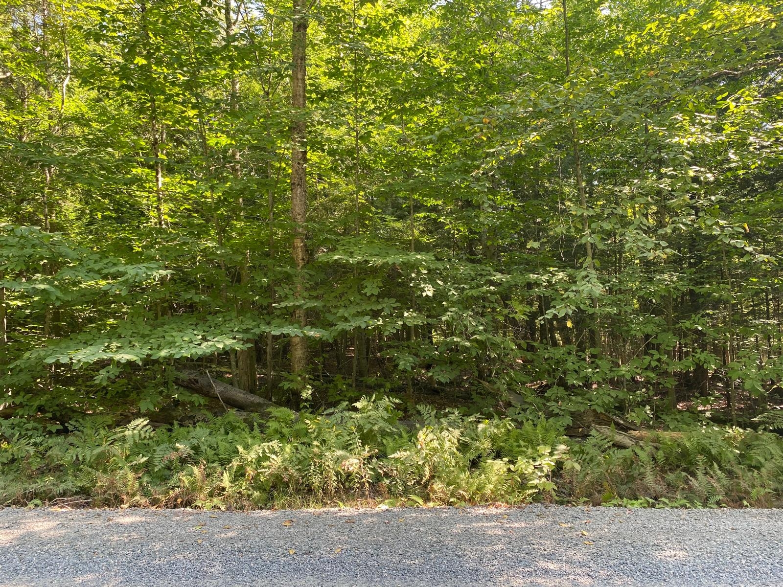 Muskoka Lake of Bays Vacant Land for sale: Muskoka    (Listed 2025-07-01)