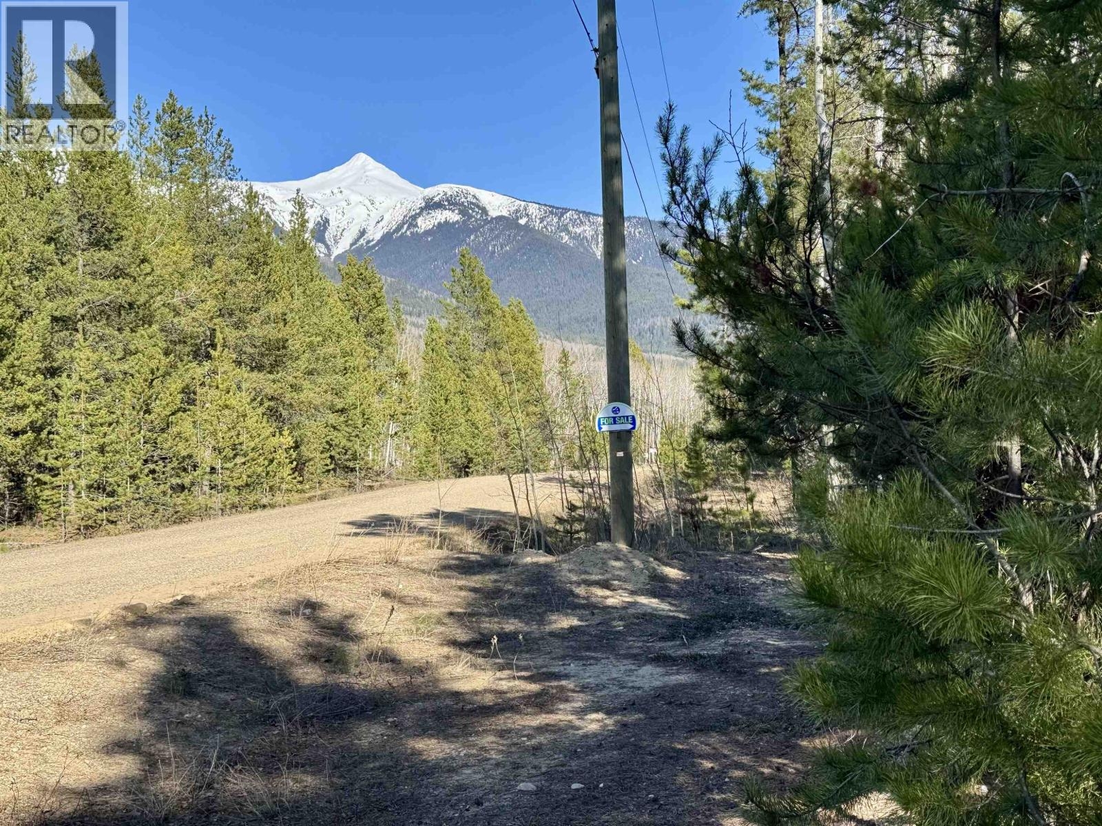 Valemount Vacant Land for sale:    (Listed 2026-04-24)