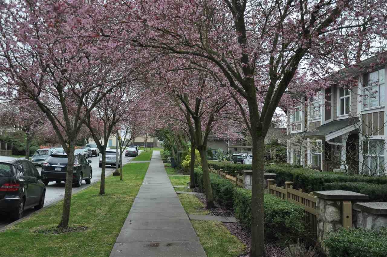 South Cambie Residential:  4 bedroom